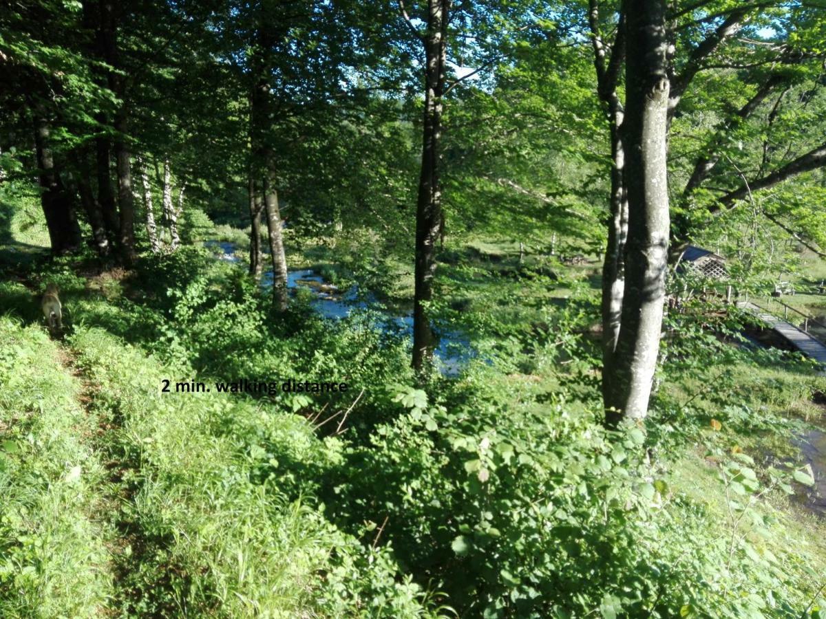 House By The River Plitvica selo Eksteriør bilde